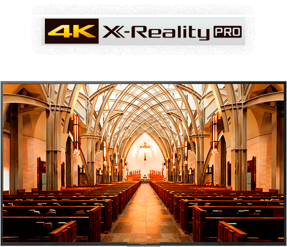 X-Reality Pro